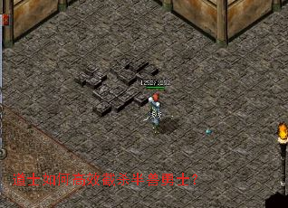 ��ʿ��θ�Ч��ɱ������ʿ��