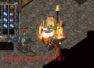 ���渨��սʿ��ο���������