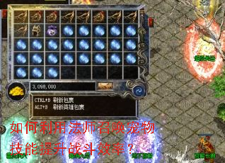 ������÷�ʦ�ٻ����＼������ս��Ч�ʣ�