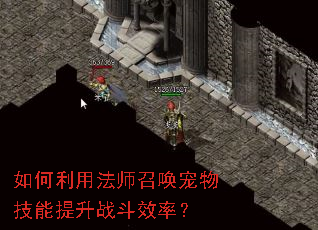 ������÷�ʦ�ٻ����＼������ս��Ч�ʣ�