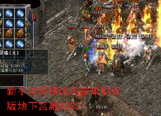 ���������ս���ɵ�ְҵ����¹���BOSS��