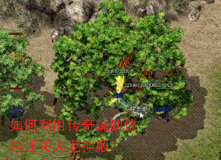 ������ô��渨������ͨ�ػ�����