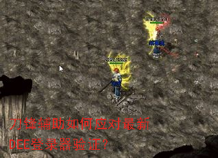 ���渨�����Ӧ������DEE��¼����֤��