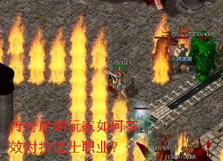 ���������������Ч�Կ���ʿְҵ��