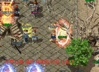 ����˽����������Щ��ɫ���ܣ�