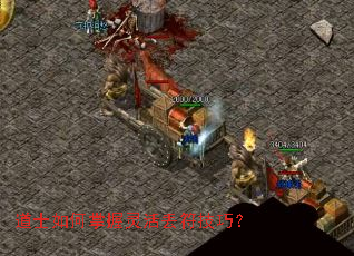 ��ʿ��������������ɣ�