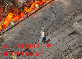 ��ʿְҵ����Щ���ؼ�����ɳ�·����