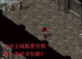 �����������Ƿ�߱�һ����ɱ���ܣ�