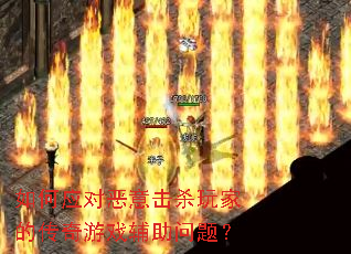 ���Ӧ�Զ����ɱ��ҵĴ�����Ϸ�������⣿