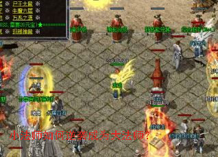 С��ʦ�����Ϯ��Ϊ��ʦ��