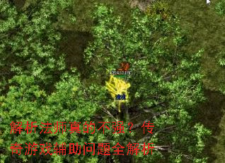 ������ʦ��Ĳ�ǿ��������Ϸ��������ȫ����