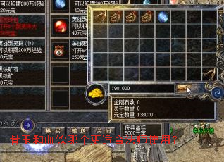 �����Ѫ���ĸ����ʺϷ�ʦʹ�ã�