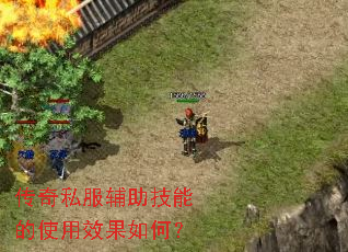 ����˽���������ܵ�ʹ��Ч����Σ�