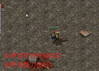 ���ʹ�ô��渨��ʵ��Ұ��Ʈ�����ɣ�