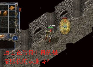 ��ʿ�ڴ������������׬Ǯ��ְҵ��