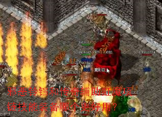 а�������ʹ��渨����ħ��������װ���ĸ������ã�