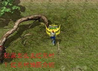 �����ôȥ�����壿�������ͼ����