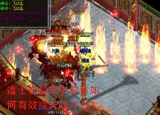 ��ʿ����Ϸ��Ӧ�������Ч����ս������