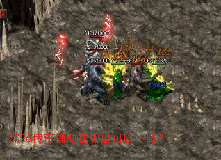 2026���渨��������������أ�