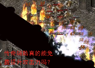 ���渨����������������������