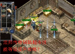 ��ʦ���渨�����м��ܵȼ��������ԣ�