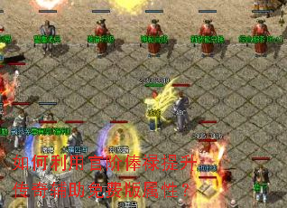 ������ùٽ�ٺ»�������渨����Ѱ����ԣ�