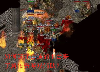 ���ѡ����ʵ�ƽ̨���˽⴫����Ϸ������