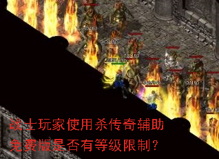 սʿ���ʹ��ɱ���渨����Ѱ��Ƿ��еȼ����ƣ�