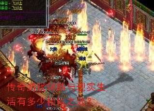 ������Ϸ��������ʵ�����ж�������֮����