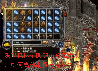 ����ɭ�ָ������й���������θ�Чˢ���뱬װ��