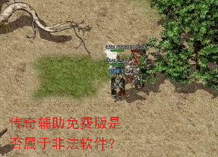 ���渨����Ѱ��Ƿ����ڷǷ�������