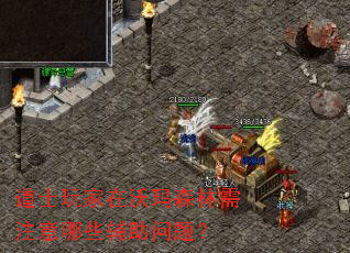 ��ʿ���������ɭ����ע����Щ�������⣿