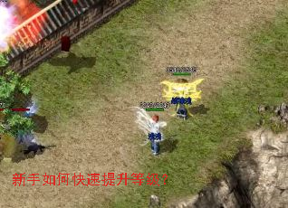 ������ο��������ȼ���