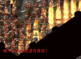 ������ο��������ȼ���