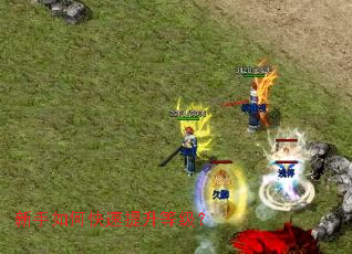 ������ο��������ȼ���