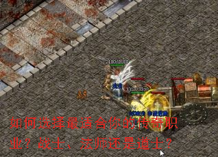 ���ѡ�����ʺ���Ĵ���ְҵ��սʿ����ʦ���ǵ�ʿ��