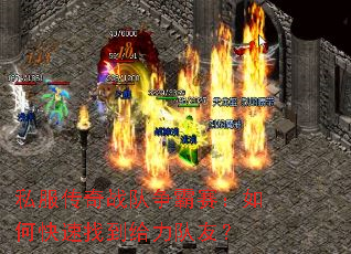 ˽������ս������������ο����ҵ��������ѣ�