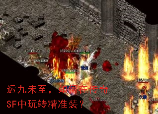 �˾�δ��������ڴ���SF����ת��׼װ��