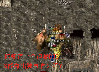 ��֪���ĸ�����BOSS�ܱ���������װ��