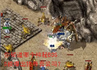 ��֪���ĸ�����BOSS�ܱ���������װ��