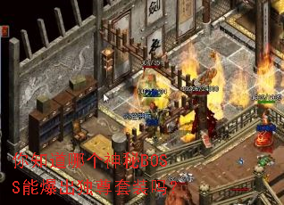 ��֪���ĸ�����BOSS�ܱ���������װ��