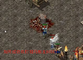 ��γɹ������������BOSS��