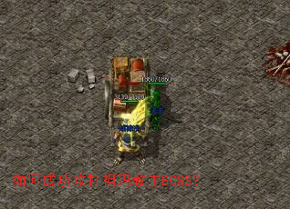 ��γɹ������������BOSS��