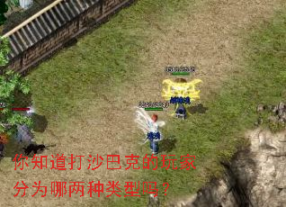 ��֪����ɳ�Ϳ˵���ҷ�Ϊ������������