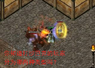 ��֪����ɳ�Ϳ˵���ҷ�Ϊ������������