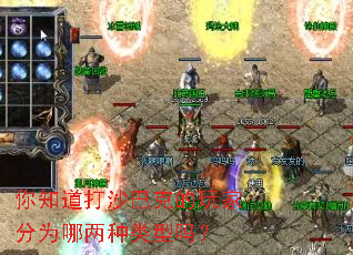 ��֪����ɳ�Ϳ˵���ҷ�Ϊ������������