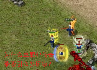 Ϊʲô��ְҵ�����������ڶ���ң�