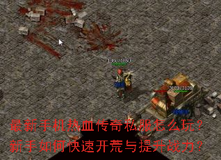 �����ֻ���Ѫ����˽����ô�棿������ο��ٿ���������ս����