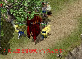 ��ο���׷����Ϸ�е�������ң�