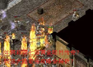 ��γư��߲ʻƽ���´��棿�귨��½��ǿ����ȫ������